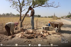 من جذور الاشجار يأمن سكان منطقة المرج في الغوطة الشرقية قوتهم اليومية