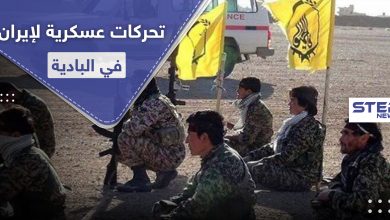 iranian militias 229062020