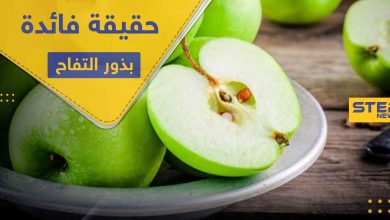 هل تناول بذور التفاح مفيدة.. وما هي الكمية الآمنة المسموح تناولها