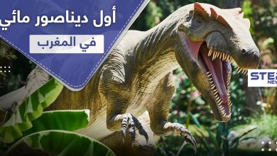 عاش في أنهار المغرب.. اكتشاف أول ديناصور مائي في العالم