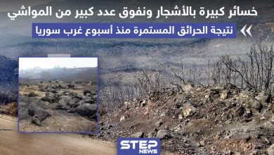 خسائر كبيرة بالأشجار و المواشي جراء الحرائق المستمرة منذ أسبوع غرب سوريا