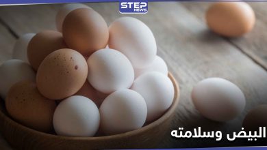 أخطر على صحة الإنسان من السم.. 6 أنواع من البيض يحذر الخبراء منها