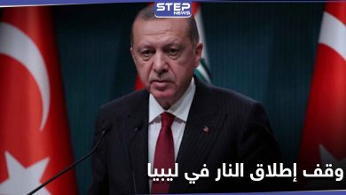 أردوغان يعلن موقفه من إتفاق وقف إطلاق النار في ليبيا والتهدئة مع أرمينيا واليونان