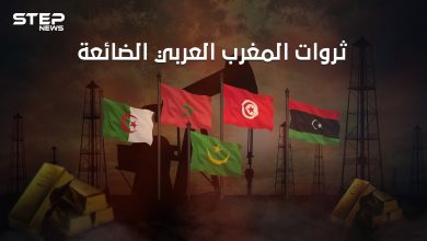 نهضة كُبرى يمكنها انتشاله من الفقر والبطالة.. المغرب العربي وثرواته الضائعة