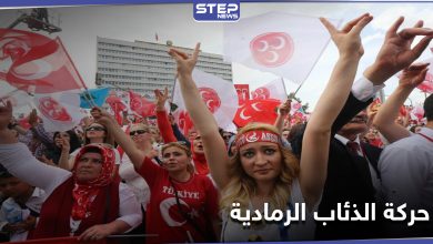 حركة الذئاب الرمادية التركية