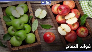 ماذا يفعل تناول التفاح يومياً في أجسادنا.. وأي الأوقات يجب فيها تجنب تناوله