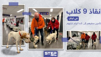 إنقاذ 9 كلاب في لبنان و تأمين سفرهم إلى كندا ليتم تبنّيهم