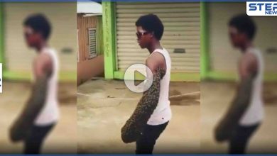 بالفيديو|| شاب ينقل مستعمرة نحل على يده بعد إلقاءه القبض على الملكة