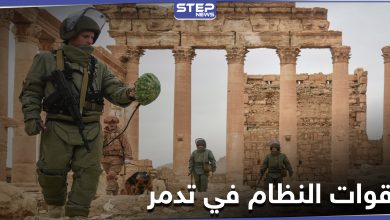 مصدر يكشف عمّا عثرت عليه قوات النظام السوري خلال تفكيك الألغام في محيط تدمر