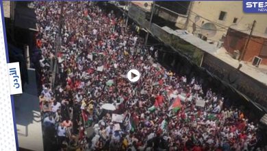 بالفيديو والصور|| "يلا على الحدود" هاشتاغ يضم مشاهد تاريخية في عبور حدود فلسطين المحتلة انتظرها العرب لسنوات