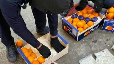 السعودية تُحبط شحنة ضخمة من حبوب الكبتاغون مُخبأة داخل البرتقال