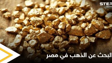 بقيمة 8 مليون دولار.. شركة كندية تستثمر في مجال التعدين والبحث عن الذهب في مصر