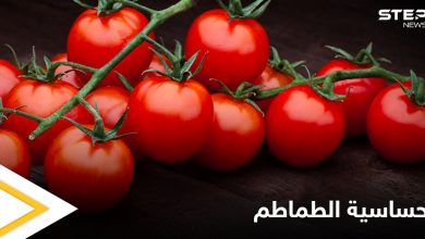 ما هي حساسية الطماطم وهل هي خطيرة تعرف إلى أهم المعلومات عنها