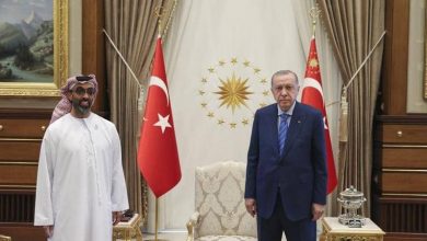 أردوغان يكشف أهم ملفٍ ناقشه مع المستشار الإماراتي قد يمهّد لاستثماراتٍ إماراتيةٍ ضخمة بتركيا