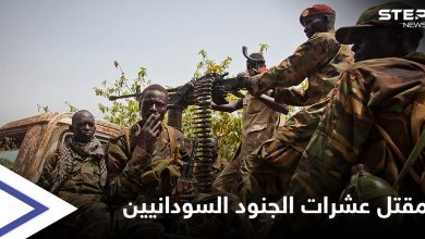 مقتل عشرات الجنود السودانيين بمعركة مع إثيوبيا وجبهة تيغراي تتحد مع متمردين ضد الحكومة