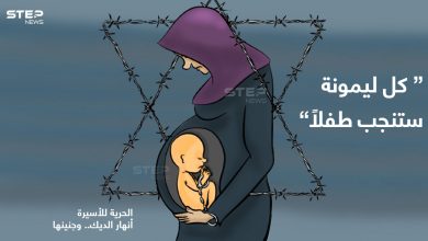 الأسيرة الفلسطينية (أنهار الديك)، توشك أن تلد في الزنزانة .. الحرية لها ولجنينها
