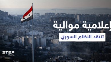 إعلامية موالية تنتقد النظام السوري