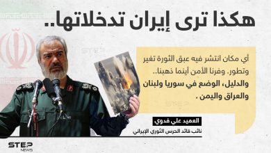 العميد علي فدوي (نائب قائد الحرس الثوري الإيراني)، يجد تدخلات إيران في بعض الدول؛ سبباََ لأمانها وتطورها