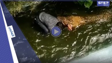 بالفيديو|| لحظات تحبس الأنفاس.. تمساح ينقض على سائح ويهاجمه بعنف بعد اقتراب الأخير منه ظناً أنه بلاستيكي