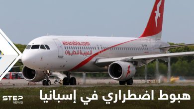 فرار 20 مسافراً من طائرة مغربية هبطت اضطرارياً في إسبانيا.. والسلطات تلاحقهم
