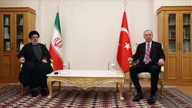 أردوغان يناقش مع نظيره الإيراني "إحلال السلام" في سوريا