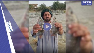 شاهد|| ظاهرة غريبة في السعودية حيرت الجميع.. أسماك في سيول الطائف فكيف وصلت