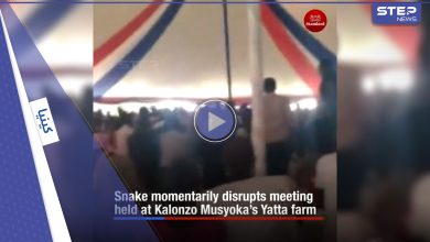 بالفيديو|| ثعبان ضخم يقتحم اجتماع زعيم كيني ويثير الذعر بين الحضور وهروب المؤيدين