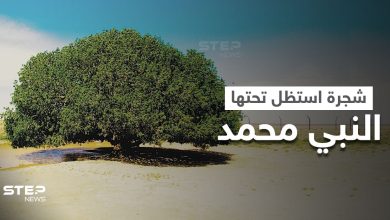 الشجرة التي استراح تحتها النبي محمد خلال رحلته إلى سوريا تُزرع بمدينة روسية