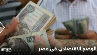 لماذا حدث ما حدث في مصر من رفع الفائدة وانخفاض الجنيه