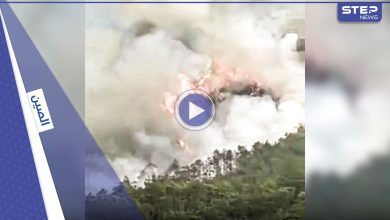 بالفيديو|| طائرة الصين سقطت عمودياً بسرعة البرق.. السلطات تؤكد مقتل جميع الركاب