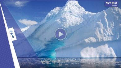 شاهد|| القارة القطبية الجنوبية تشهد ارتفاعاً قياسياً بدرجات الحرارة غير مسبوق