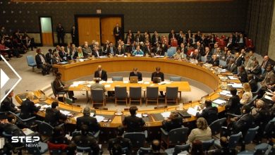 The International UN Security Council Archives