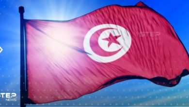 معنى علم تونس
