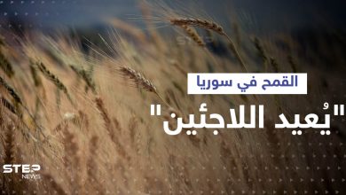 دولة عربية تقترح زراعة القمح في سوريا لسد احتياجات المنطقة وعودة اللاجئين