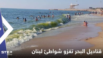 شواطئ لبنان