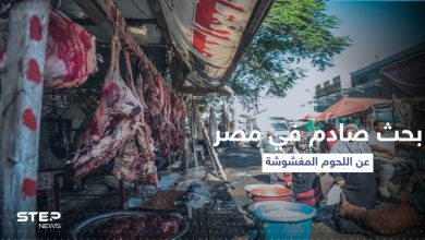هل أكل المصرين لحم الخنزير خلال العام الماضي.. بحث يخرج بنتائج صادمة
