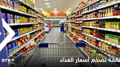 شاهد|| بلد عربي احتل المركز الثاني.. قائمة بأغلى 10 دول من حيث أسعار الغذاء