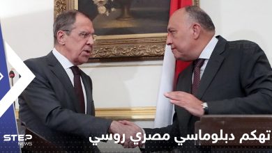 "تهكّم دبلوماسي"..وزير الخارجية المصري يسخر من لافروف بسبب التأشيرة الأمريكية