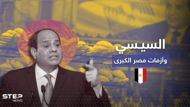 عز يكشف كيف أنقذت توجيهات السيسي مصر من "أزمةٍ كبرى"
