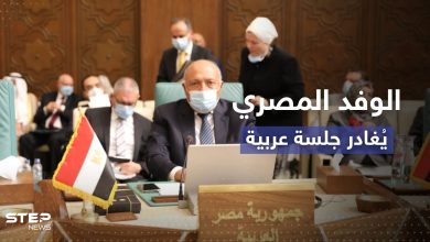 بسبب سيدة.. وزير الخارجية المصري يغادر الجلسة الافتتاحية لمجلس وزراء العرب