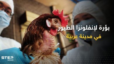 بؤرة لإنفلونزا الطيور تظهر في مدينة عربية