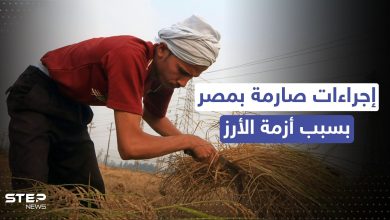 مصر.. إجراءات صارمة من وزارة التموين بسبب أزمة الأرز