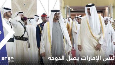 رئيس الإمارات يصل الدوحة