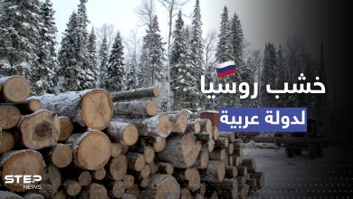 روسيا توقف أخشابها إلى أوروبا وتحولها لدولة عربية