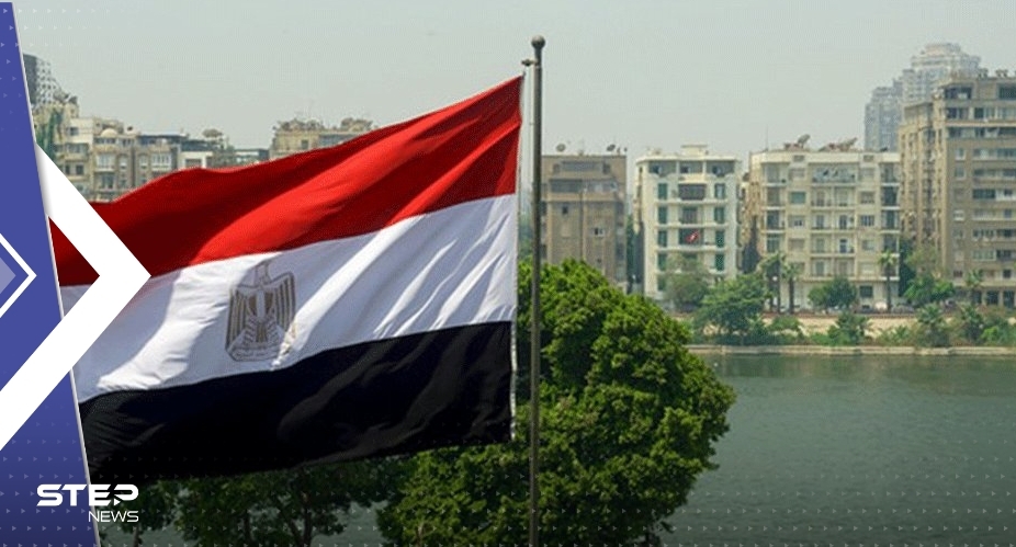 نائب مصري يحذّر من ارتفاع "جنوني" لأسعار مادتين.. ومدبولي يصدم المصريين بأرقام جديدة