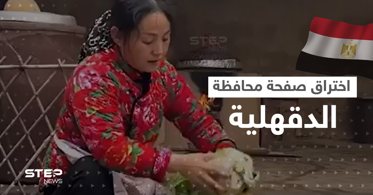 اختراق الصفحة الرسمية لـ محافظة الدقهلية.. ونشر فيديو غريب بداخلها يثير سخرية المصريين