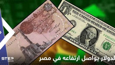 مصر.. الدولار يواصل ارتفاعه وأنباء عن شلل في السوق السوداء