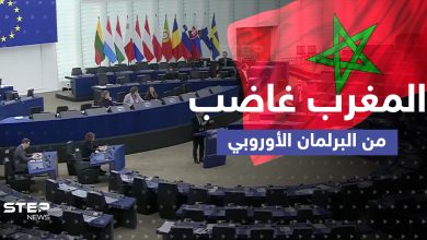 انتقاد من البرلمان الأوروبي يُغضب المغرب العربي.. الرباط اعتبرته "اتهاماً خطيراً"