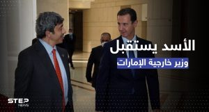 بشار الأسد يلتقي وزير خارجية الامارات وتقارير تكشف موضوع المباحثات