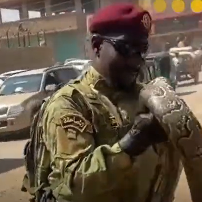  عنصر من القوات المسلحة السودانية يحمل أحد أخطر أنواع الأفاعي ويتبختر
